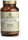 Bio Tonics Vitamin D3 + Leucine + Carnitine + Creatine 500mg Ειδικό Συμπλήρωμα Διατροφής 60 φυτικές κάψουλες