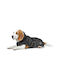 Hunter Norton 360 Uppsala Black Waterproof Dog Coat with 35cm Back Length