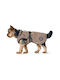 Hunter Norton 360 Uppsala Hundemantel Wasserdicht Braun mit Rückenlänge 45 cm.