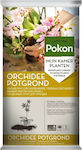 Pokon Orchidee Pflanzgefäß 5 lt