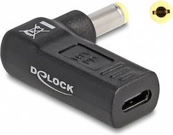 DeLock Charger Plug