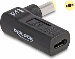 DeLock Βύσμα για Φορτιστή 60009