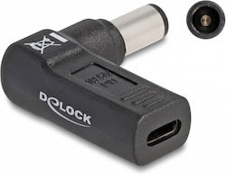 DeLock Charger Plug