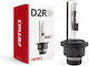 AMiO Lamps Car Basic D2R Xenon 4300K Natural Wh...