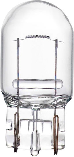 AMiO Lamps Car W21W / W3x16d Halogen 12V 21W 10pcs