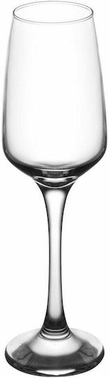 Gurallar Lal Set Brillen Champagner Kelch Glas 230ml 6 Stück