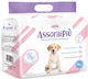 Record Assorbi Piu Dog Panties Large 70 - 70cm ...