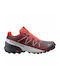 Speedcross 5 GTX Sport Shoes Trail Running Waterproof with Gore-Tex Membrane Biking Red / White / Black