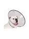 Kvp KVP Saf-T-Clear Hundehalsband aus in Transparent Farbe 17 - 30cm