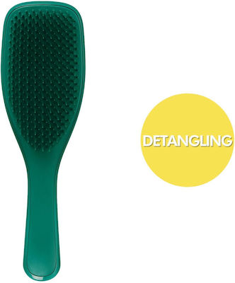 Tangle Teezer The Wet Detangler Emerald Green Brush Hair for Detangling