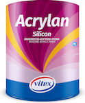 Vitex Acrylan Silicon 0001 Plastic Acrilyc Paint for Exterior Use Hint Vanilla 3lt