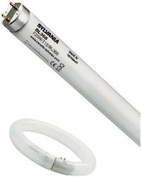 Olympia Electronics Fluorescent Lamp with Shape T8 18W