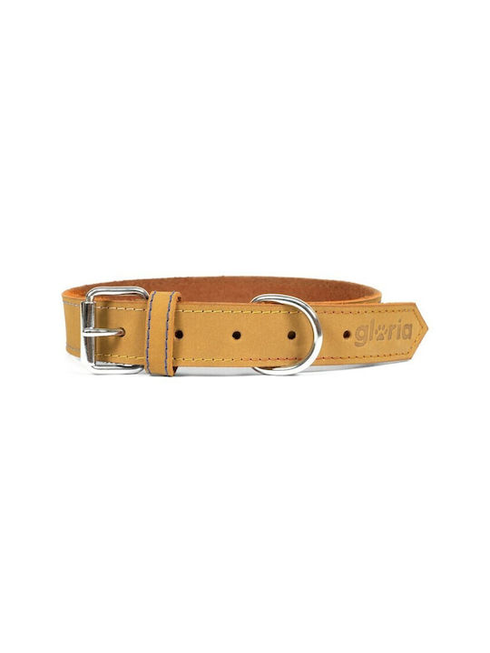 Gloria Oasis Dog Collar Leather In Yellow Colour 30mm x 60cm