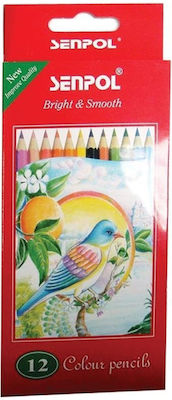 Senpol Bright & Smooth Pencils Set 144pcs