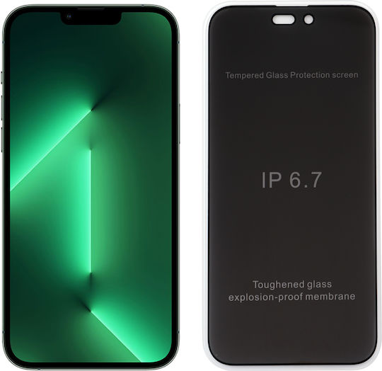 Idol 1991 Semi Curved 0.30mm Full Glue Privacy Full Face Tempered Glass Black (iPhone 14 Pro Max) 8322198