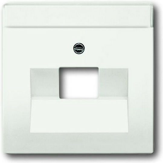 Abb Netzwerk-Telefon-Steckdosenplatte in Weiß Farbe 46013