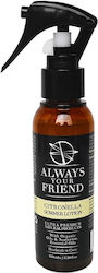 Always Your Friend Citronella Summer Lotion Spray Καλλυντικό 100ml