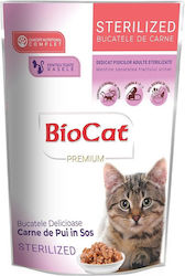 Biotur Biocat Premium 85gr
