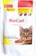 Biotur Biocat Premium Υγρή Τροφή για Ανήλικες Γάτες σε Φακελάκι με Κοτόπουλο 85gr