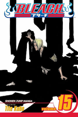 Bleach Vol. 15