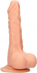 Shots Real Rock Dong With Testicles Glass Dildo with Balls and Suction Cup Flesh 20cm Shots Real Rock Dong With Testicles Glass Dildo with Balls and Suction Cup Flesh 20cm