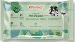 Pet Interest Sensitive Skin Dog Body Cleansing Wipes with Fragrance Green