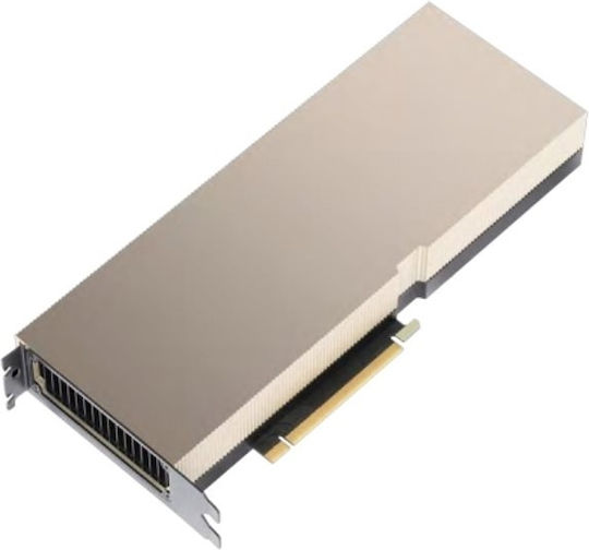 PNY (TCSA16M-PB)