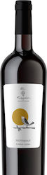 Eyfrosyni Nachtvogel Rot Trocken 750ml