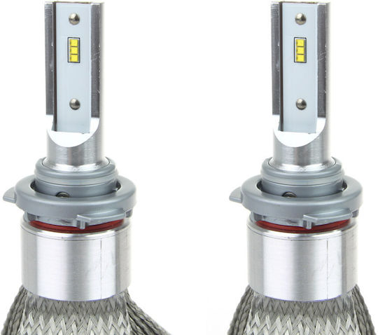 AMiO Lamps Car HB3 Canbus LED 6000K Cold White 12V 50W 2pcs