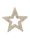 Atmosphera Champagne-colored pieces Plastic Christmas Decorative Pendant Star 30cm Gold
