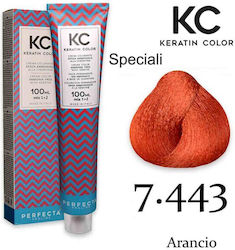Faipa Perfecta Keratin Color Haarfärbemittel Oh...