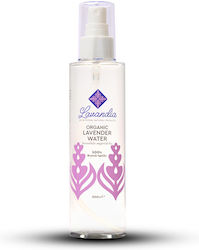 Lavandia Ανθόνερο Λεβάντας 200ml