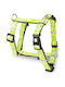 Max & Molly Нагръдник за куче Kiwi X-Small 10мм x 32-40см MM01121