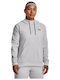 Women's Sweatshirt Hooded Gray