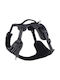 Rogz Hundegeschirr Weste Explore Schwarz Mittel 20mm x 43-59cm RGSJX11A