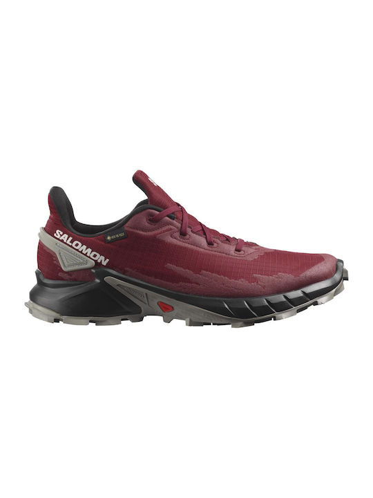 Salomon Alphacross 4 Gtx Ανδρικά Αθλητικά Παπού...