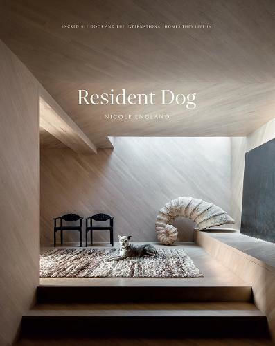 Resident Dog, Incredible Dogs and the International Homes they Live In