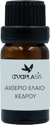 Anaplasis Αιθέριο Έλαιο Κέδρος 10ml Anaplasis Αιθέριο Έλαιο Κέδρος 10ml