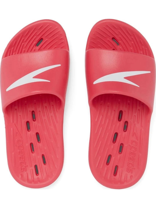 Speedo