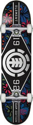 Element Complete Shortboard Πολύχρωμο Element Complete Shortboard Πολύχρωμο