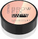 Catrice Cosmetics Fix Shaping Wax Eyebrow Pomade 010