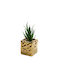 Artificial Plant in Small Pot 15cm 1pcs