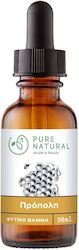 Pure Natural Propolis Tincture 50ml