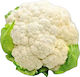 Syngenta Seeds Cauliflower Pamyros 2500pcs