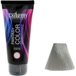 Exitenn Professional Fantasy Color Vopsea de Păr Gri 100ml