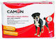 Camon Hundewindeln Zeitraum Mittel 12 Stück