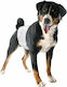 Camon Dog Panties XXLarge 70 - 80cm 12pcs