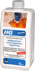 HG 104100777 Cement Residue Cleaner 1L Product 11