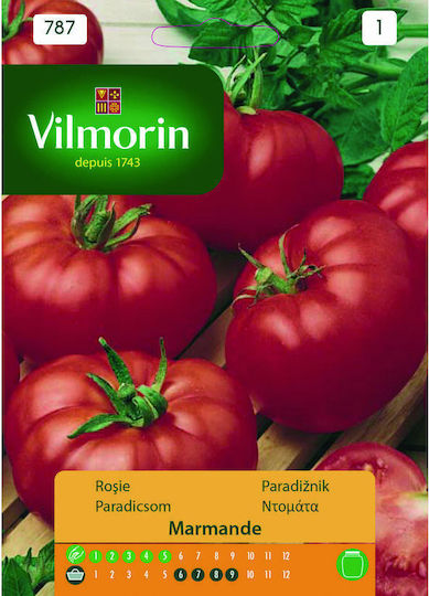 Vilmorin Σπόροι Τομάτας Marmande 5gr