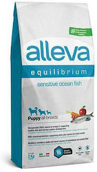 Diusapet Alleva Equilibrium Sensitive Diusapet Alleva Equilibrium Sensitive